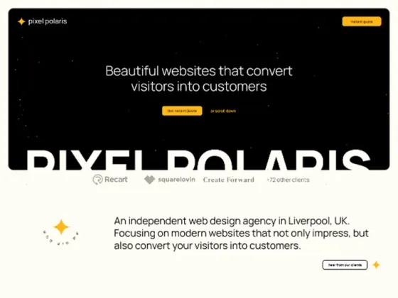 Pixel Polaris website design